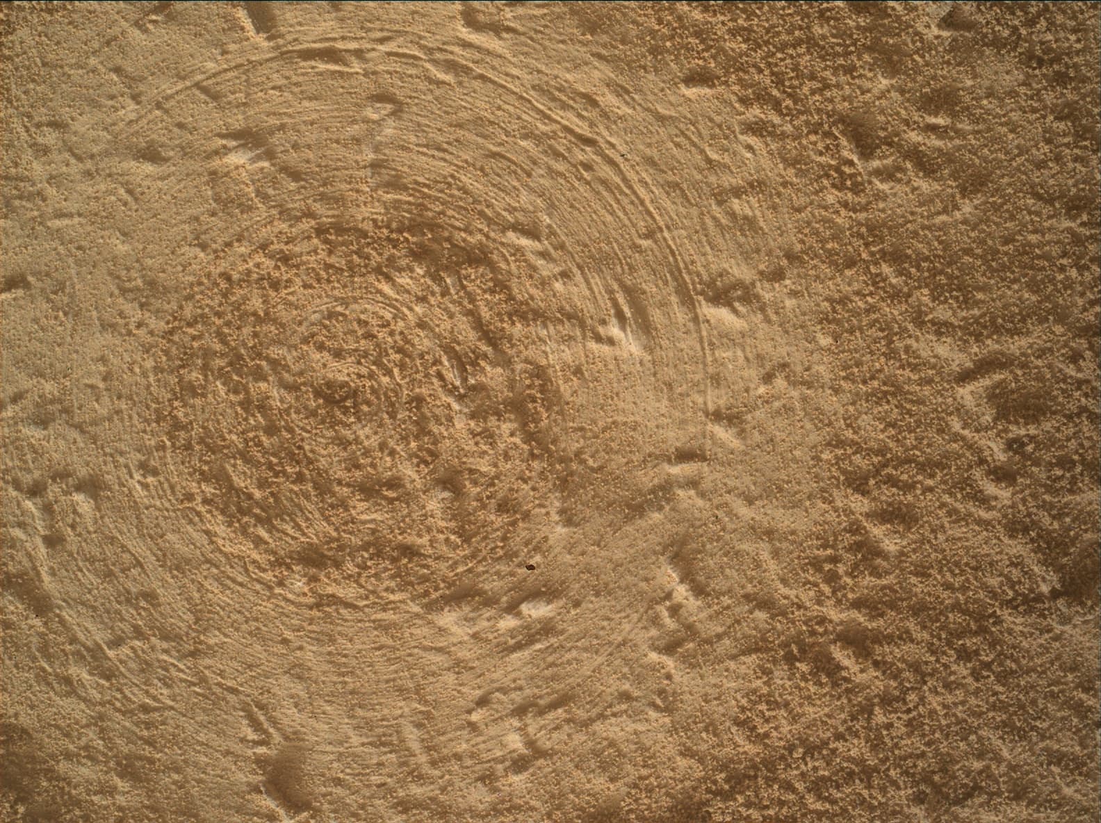 Mars rover photo