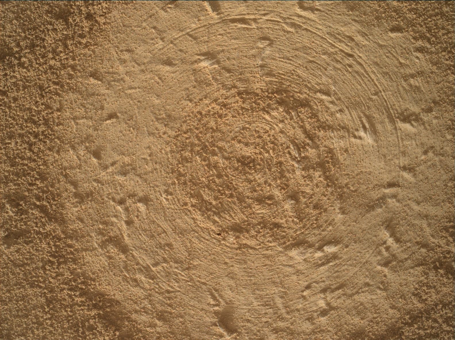 Mars rover photo