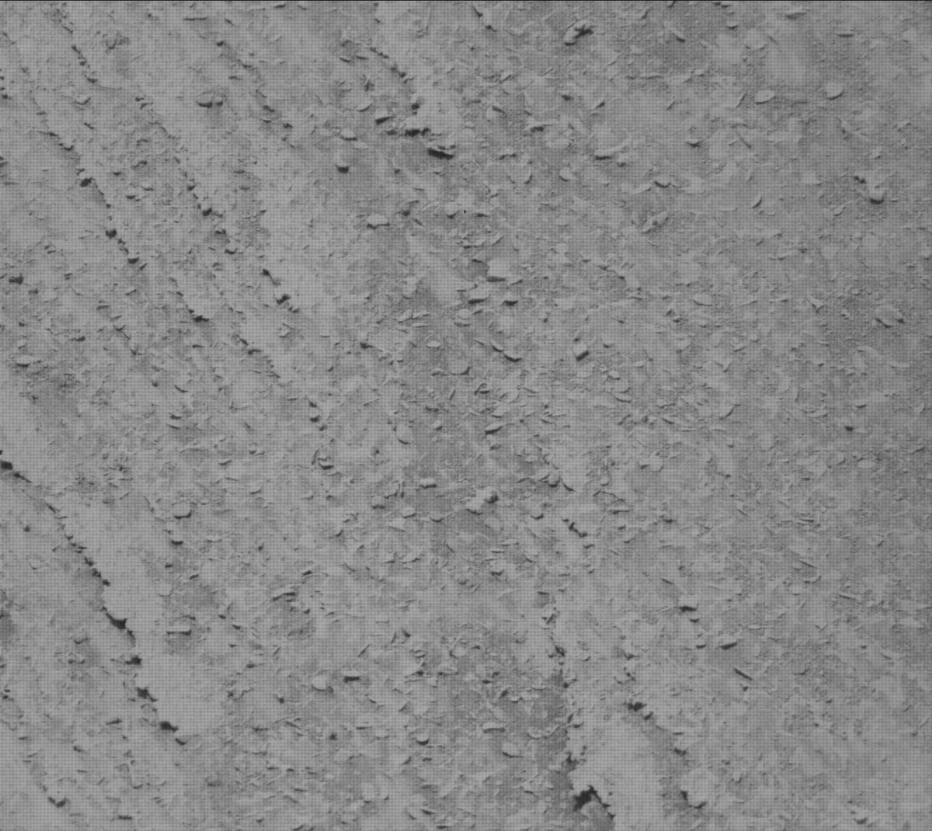Mars rover photo