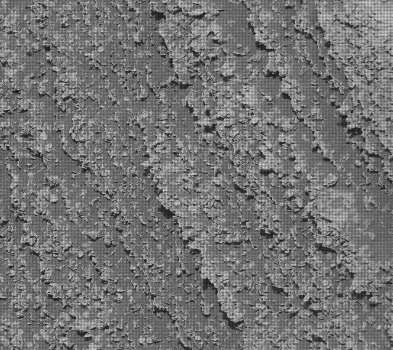 Mars rover photo