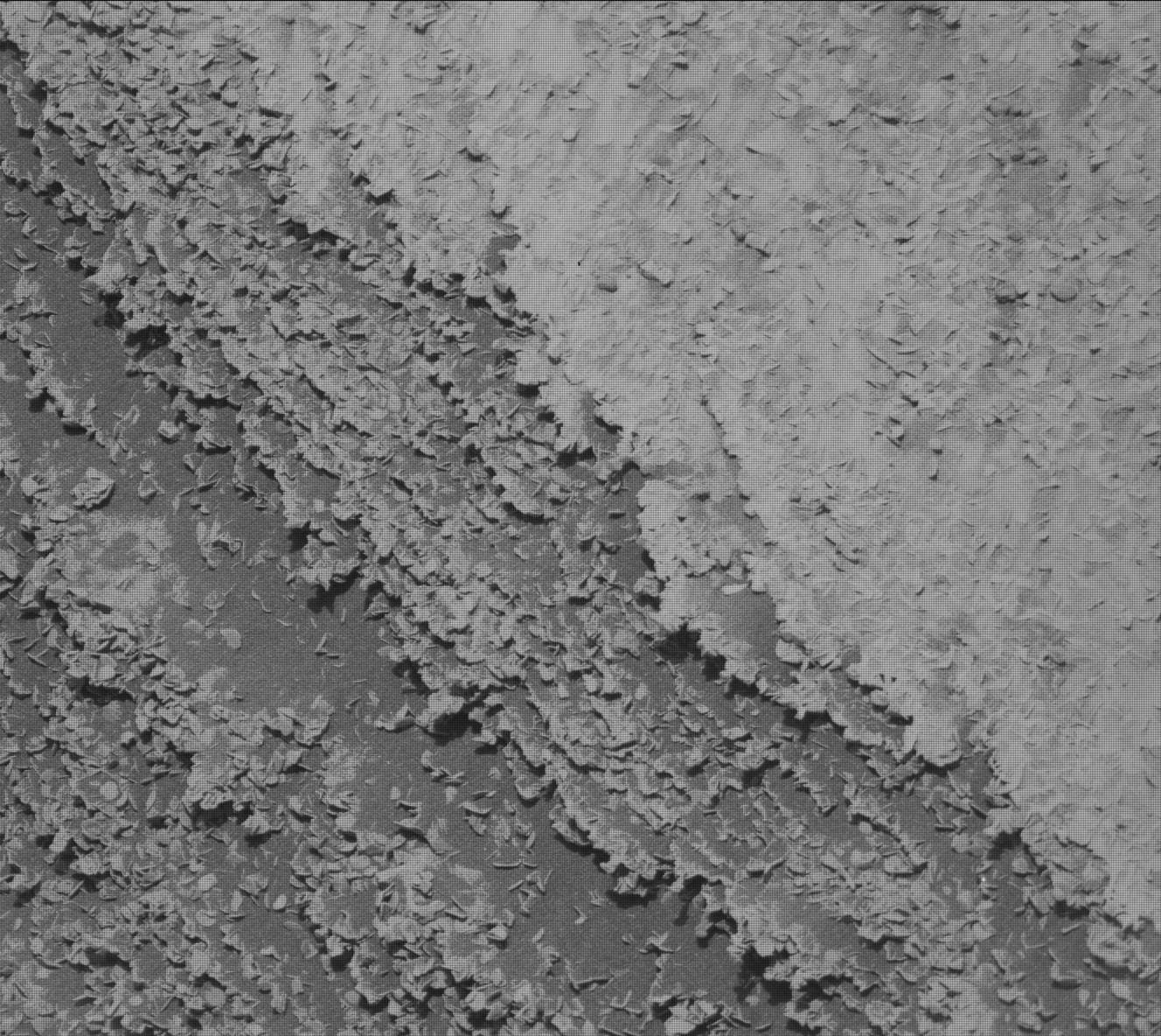 Mars rover photo