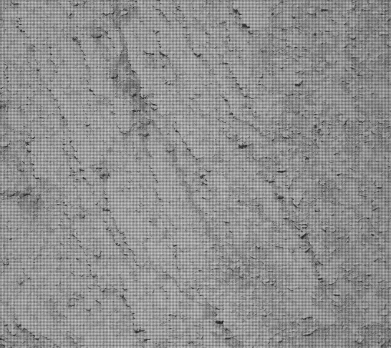 Mars rover photo