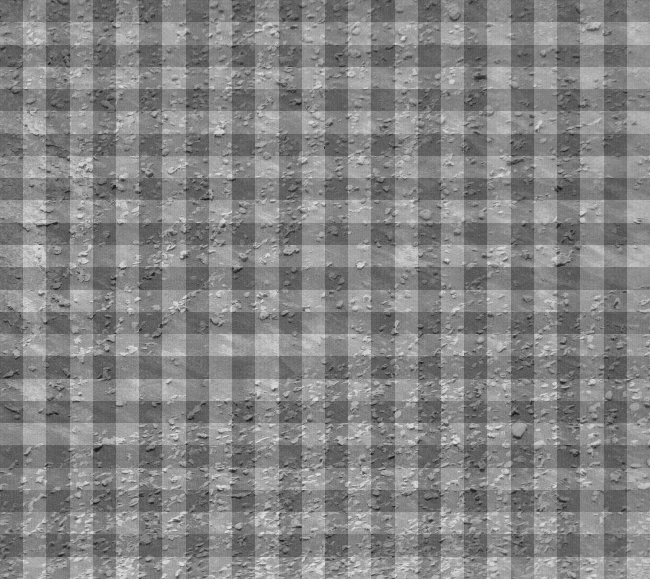 Mars image captured by MAST_RIGHT on Curiosity