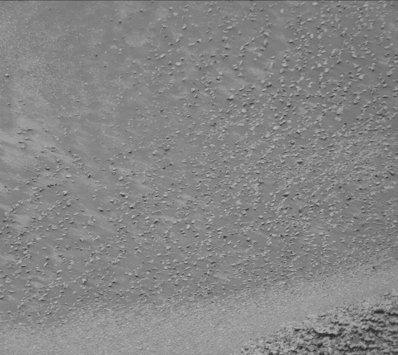 Mars image captured by MAST_RIGHT on Curiosity