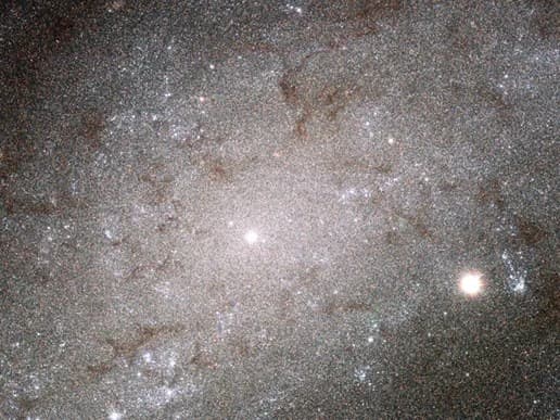 Hubble Sees Cosmic Grains of Sand