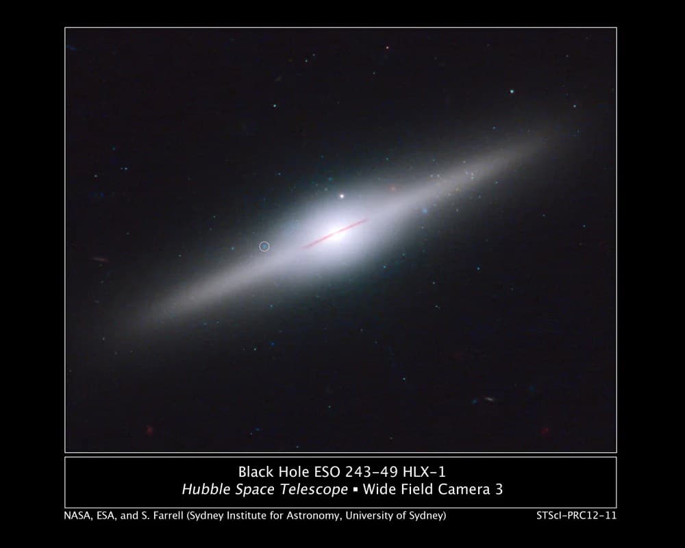 Star Cluster Surrounds Wayward Black Hole in Cannibal Galaxy