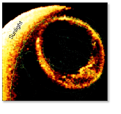 The Auroral Oval Seen from Space