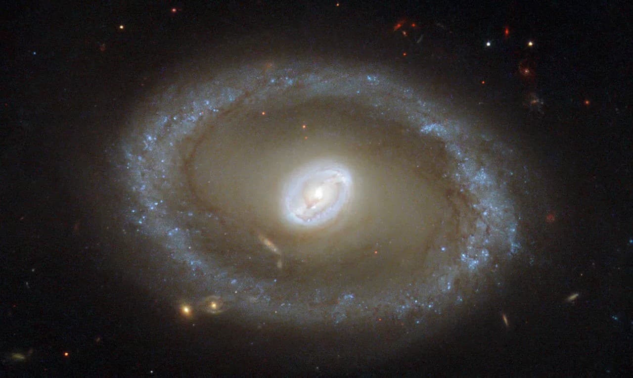Hubble Eyes Golden Rings of Star Formation