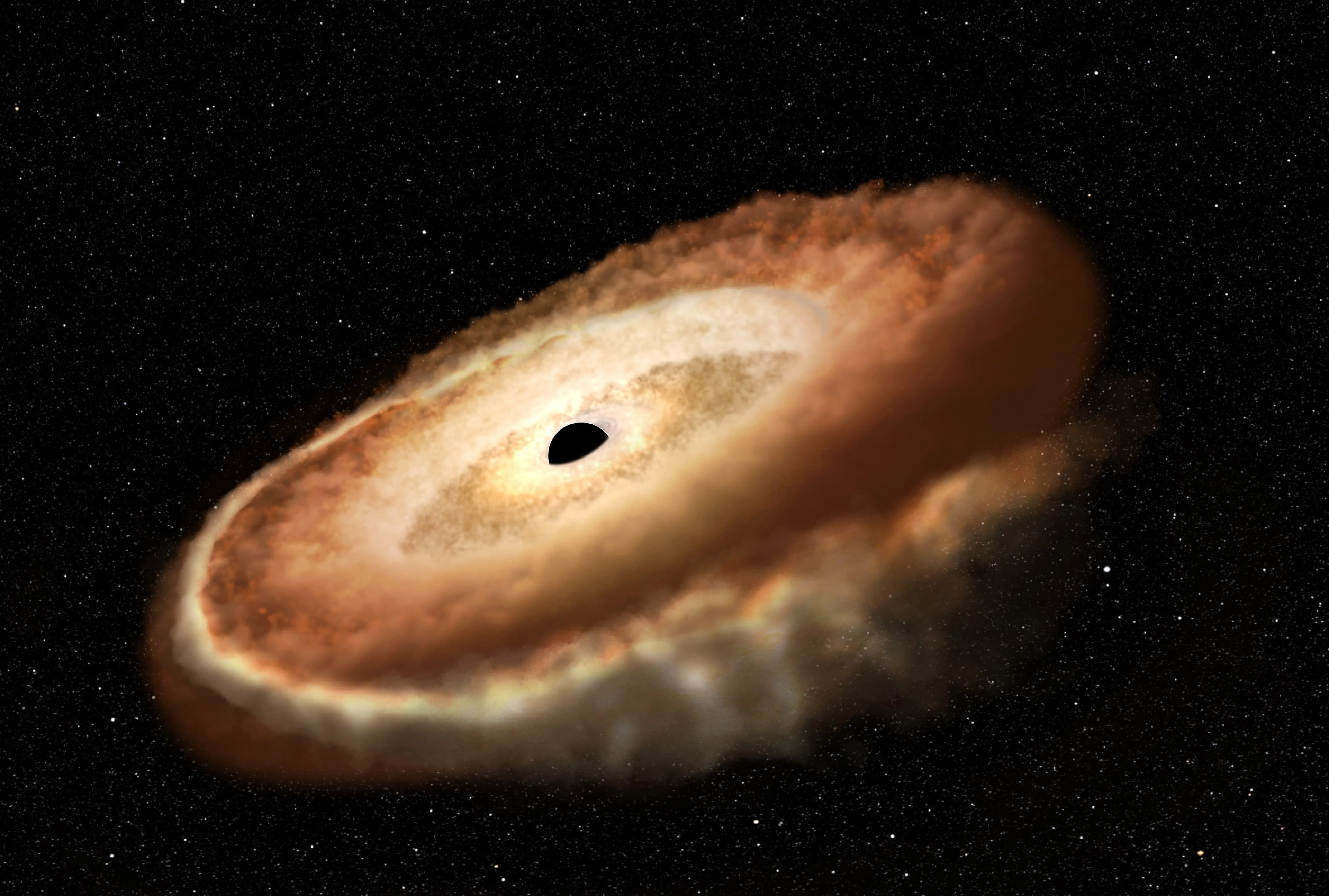 Hubble Finds Hungry Black Hole Twisting Captured Star Into Donut Shape