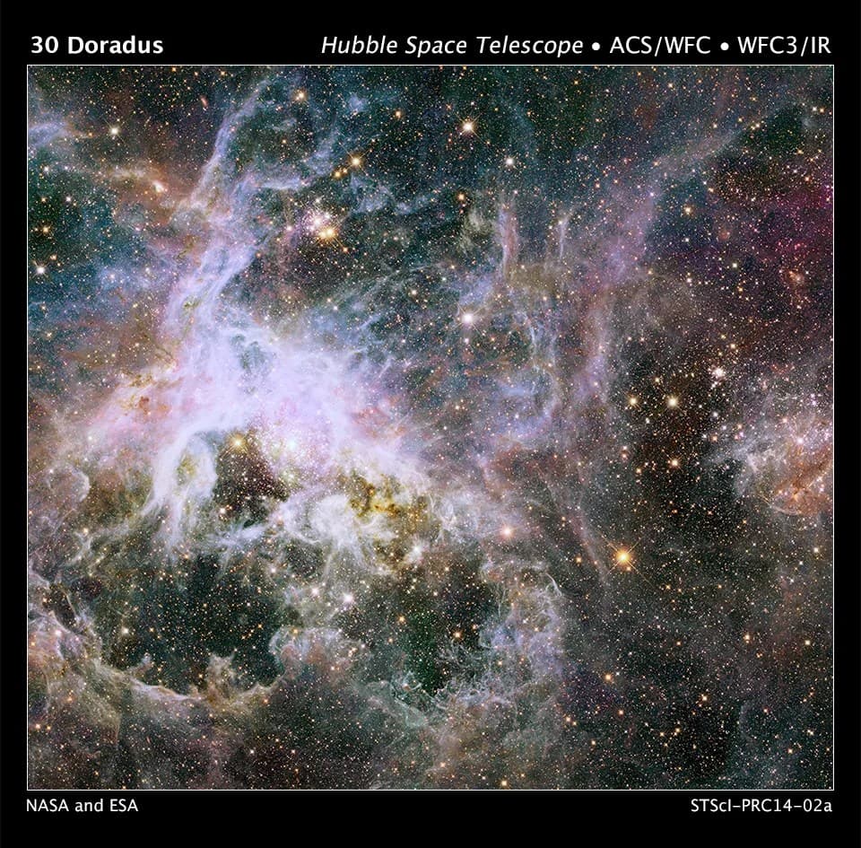 Hubble Probes Interior of Tarantula Nebula