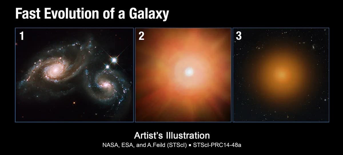Fast Evolution of Galaxies
