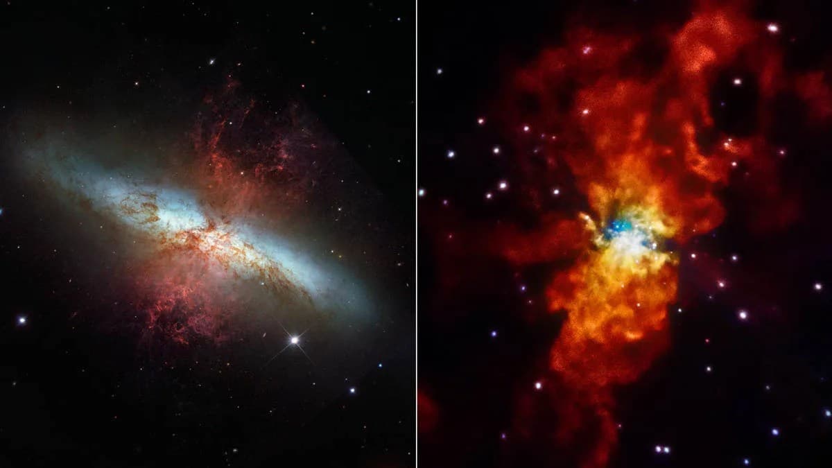 Galaxy in Different Lights