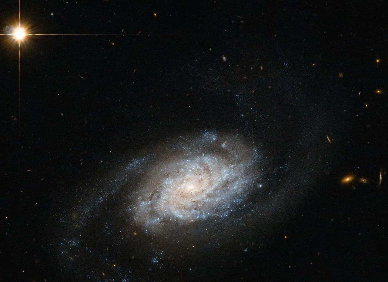 Hubble Sees Galaxies Spiraling around Leo