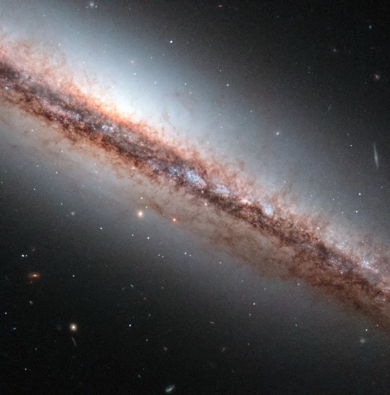 A Hubble Sweep of the Dust Filaments of NGC 4217