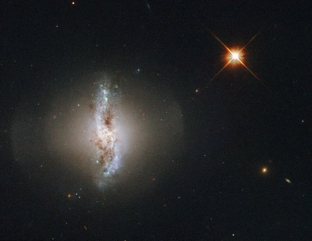 Hubble’s View of the Polar Ring of Arp 230