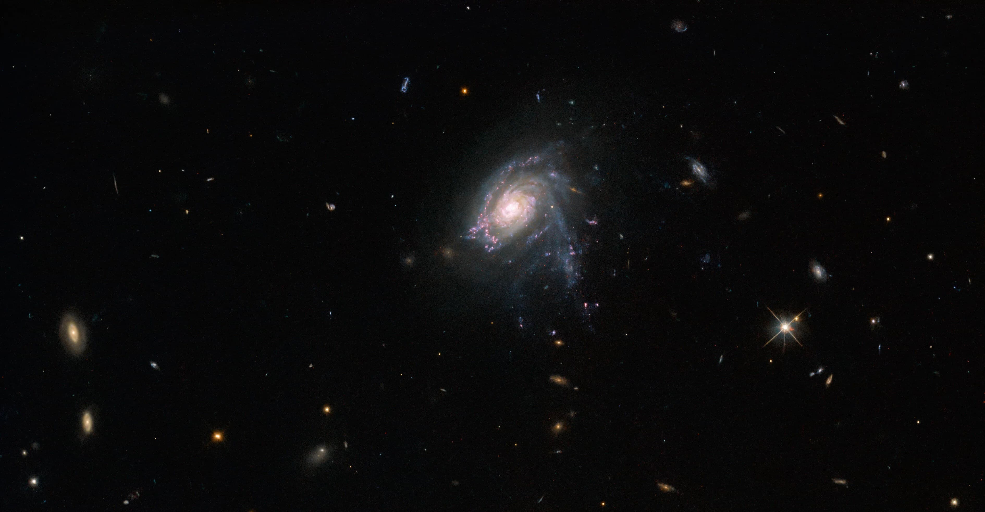 Hubble Views Striking Starry Tendrils