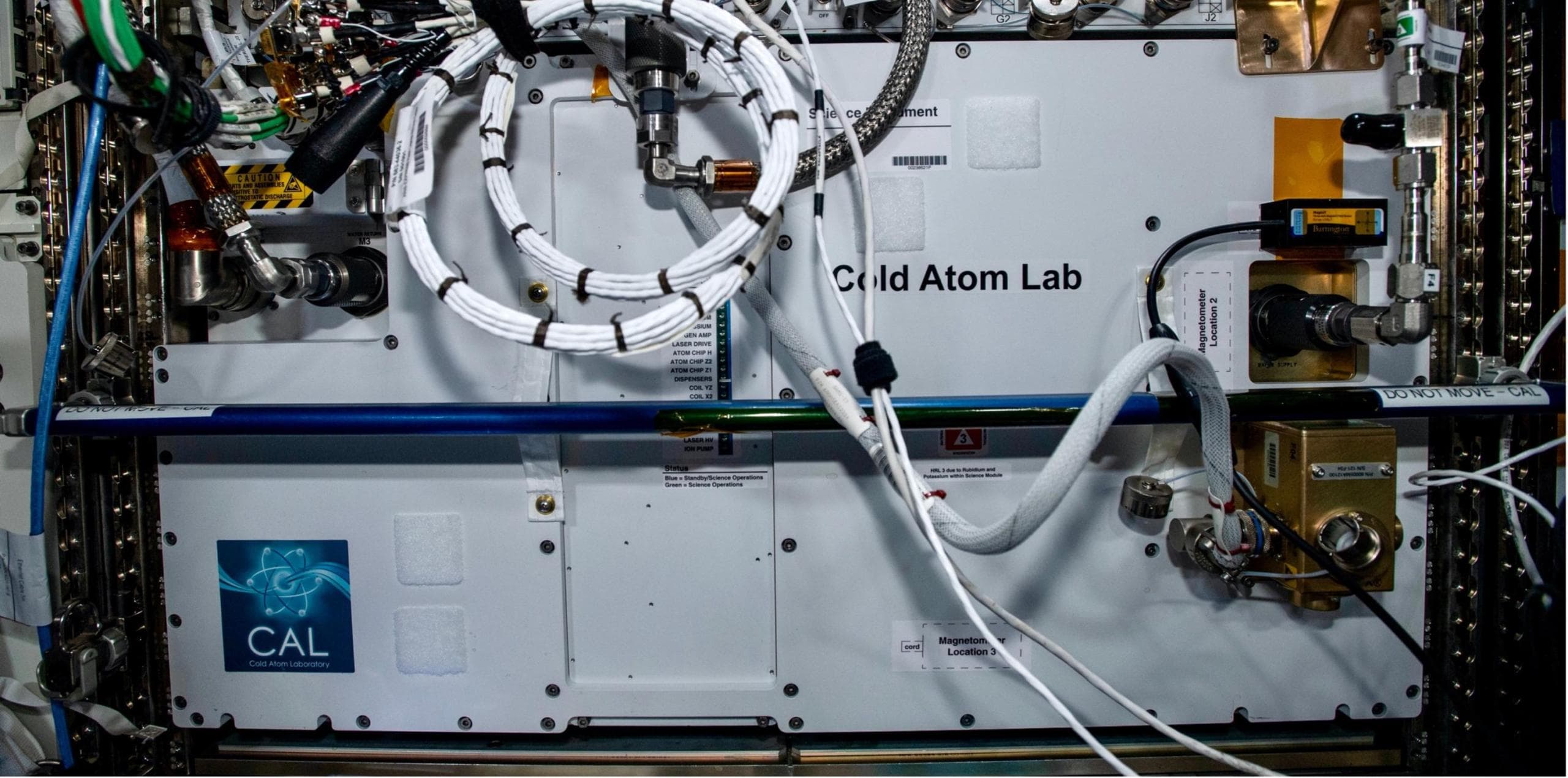Coexisting quantum gases in Earth’s orbit