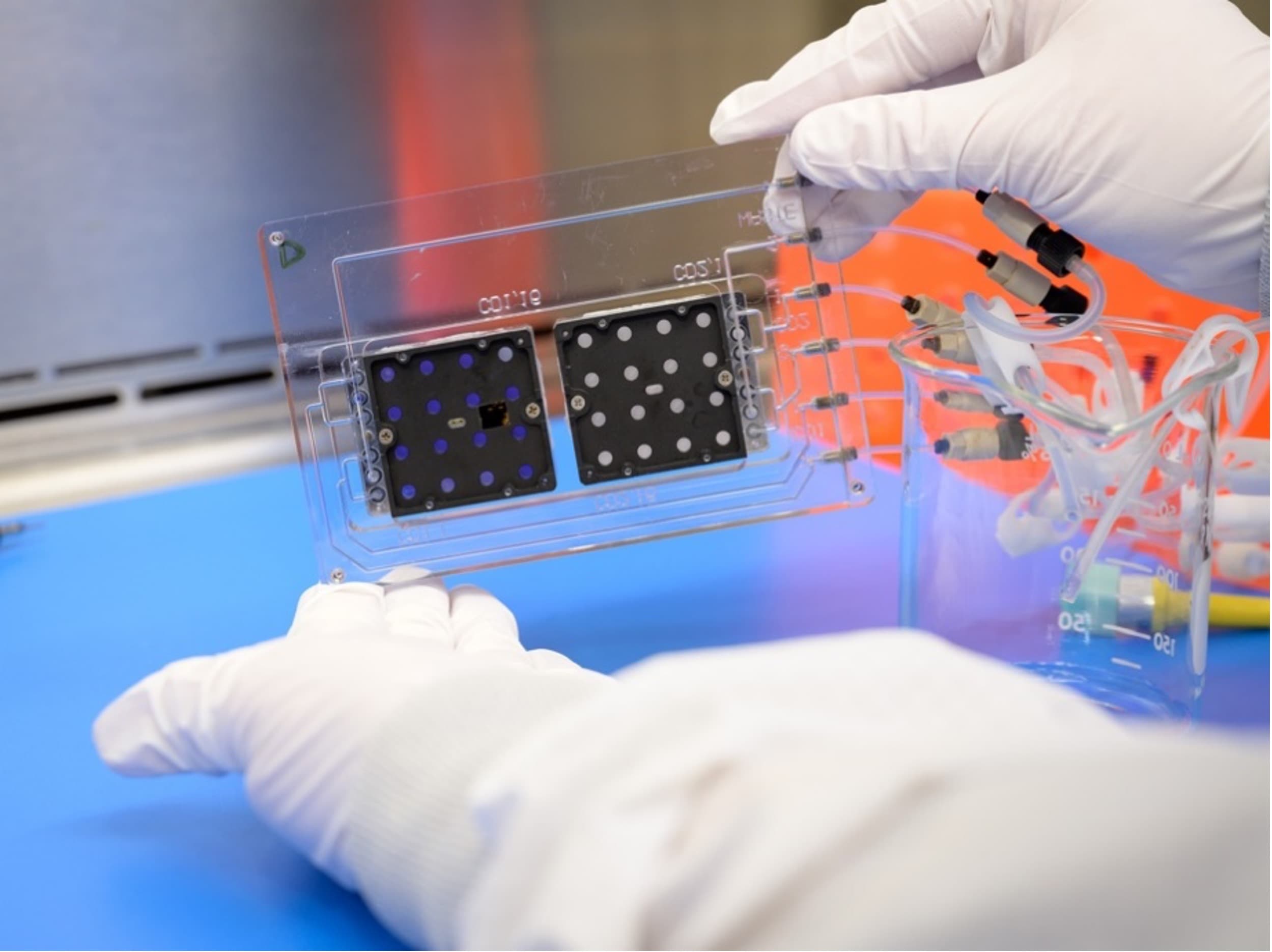 Growing Yeast on the Moon to Study Radiation Risks to Human Explorers