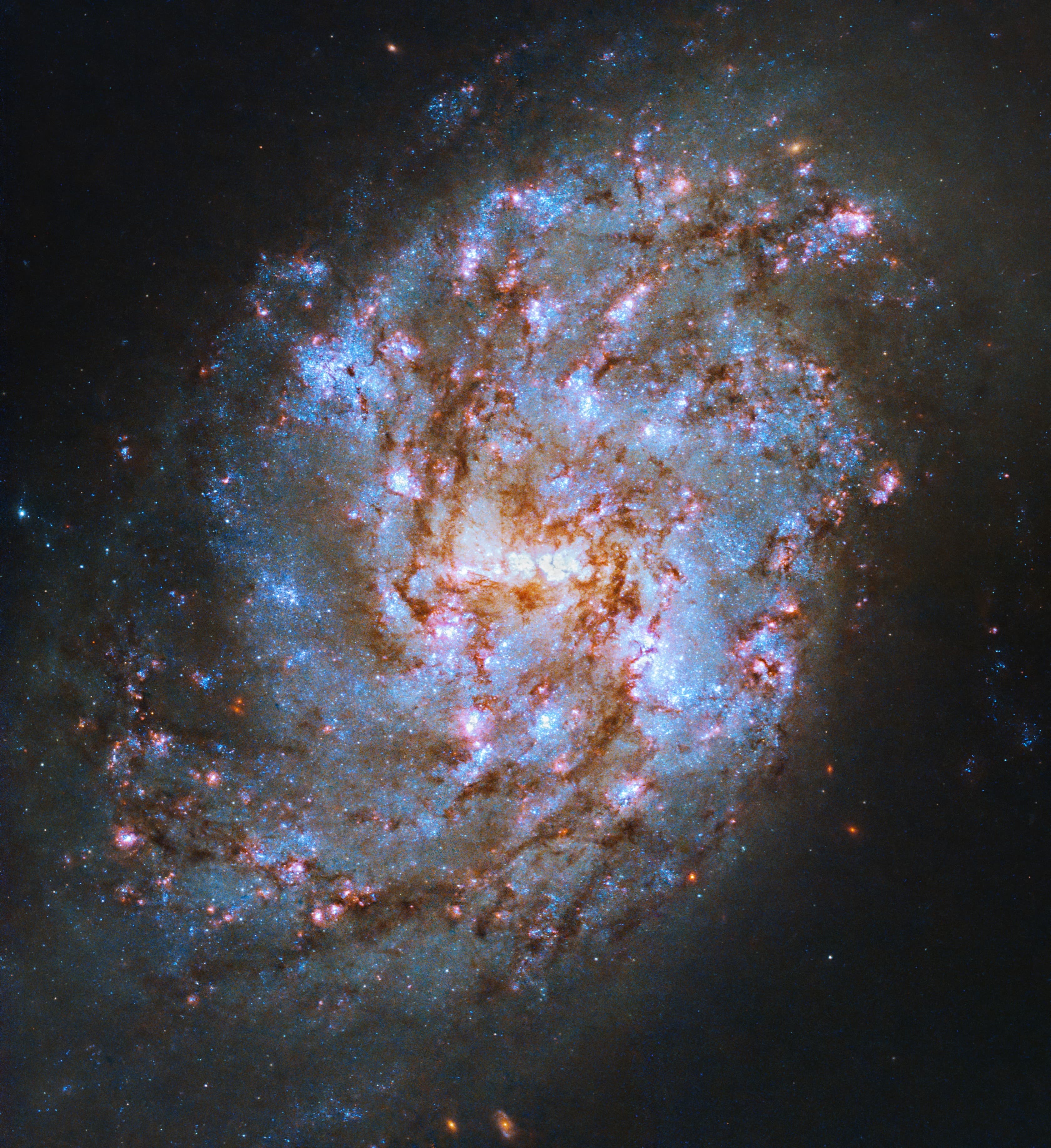 Hubble Captures Starry Cetus Constellation Galaxy