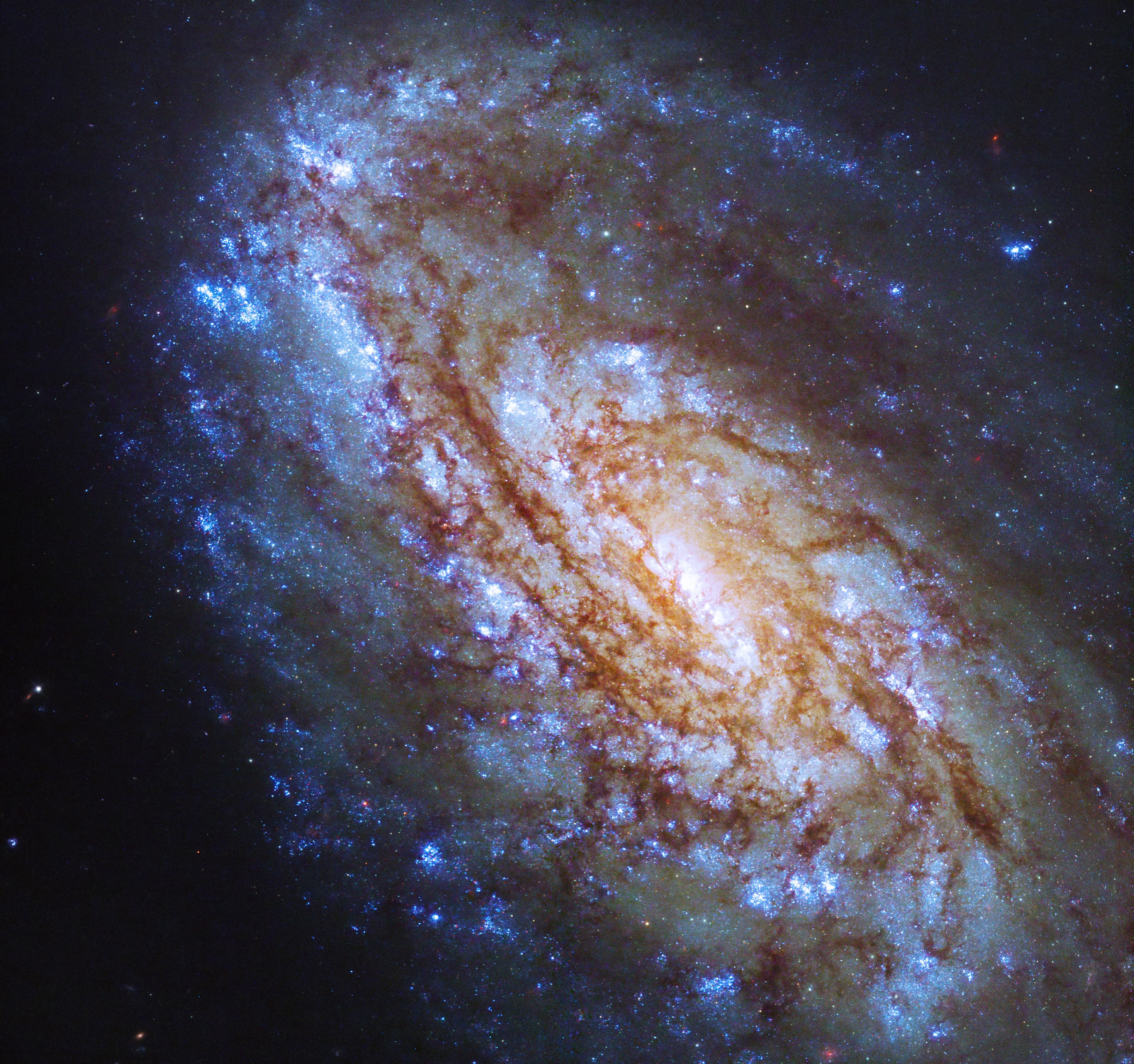 Hubble Views A Vibrant Virgo Cluster Galaxy