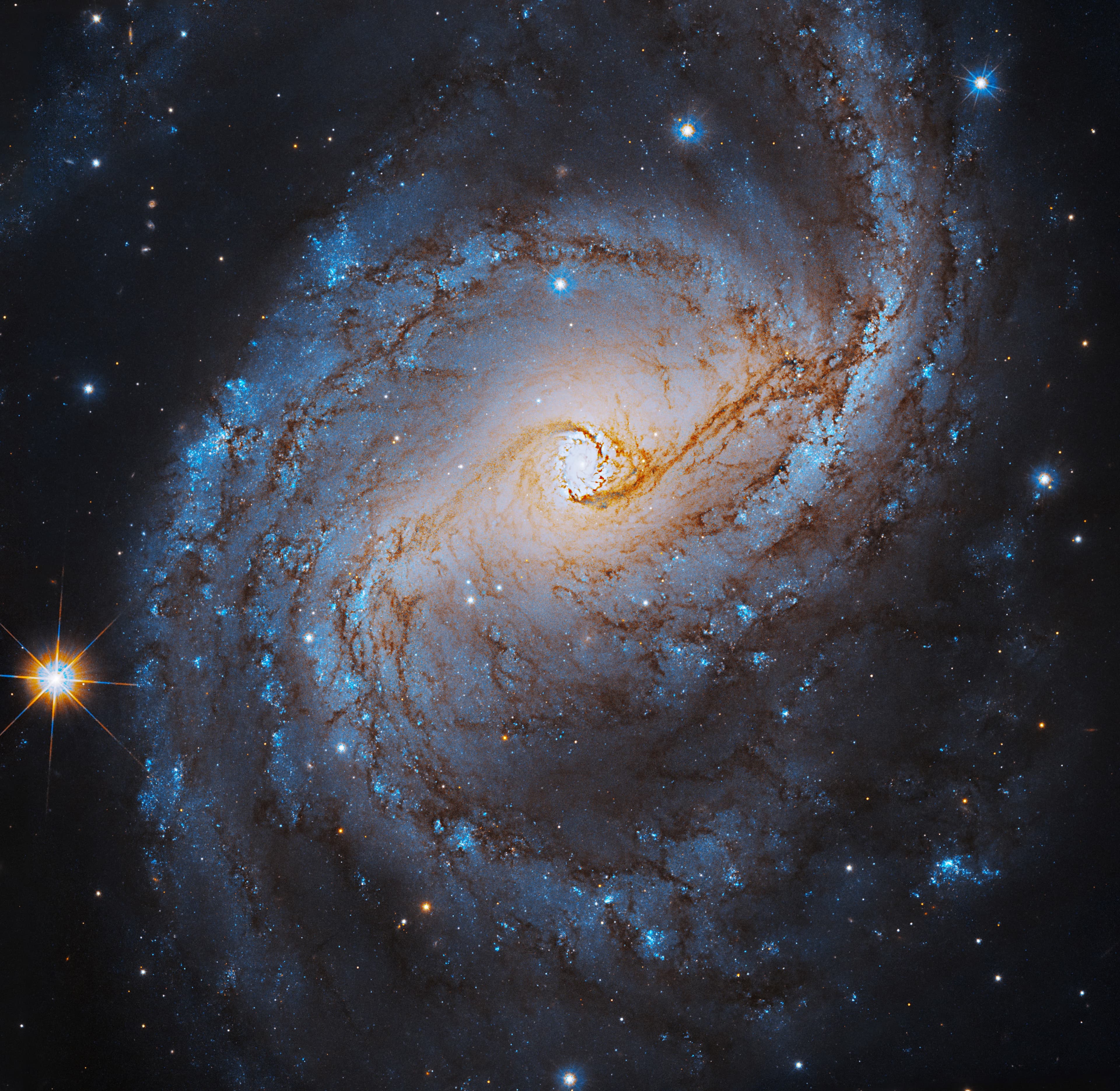 Stellar Sights in this New Hubble Galaxy Snapshot