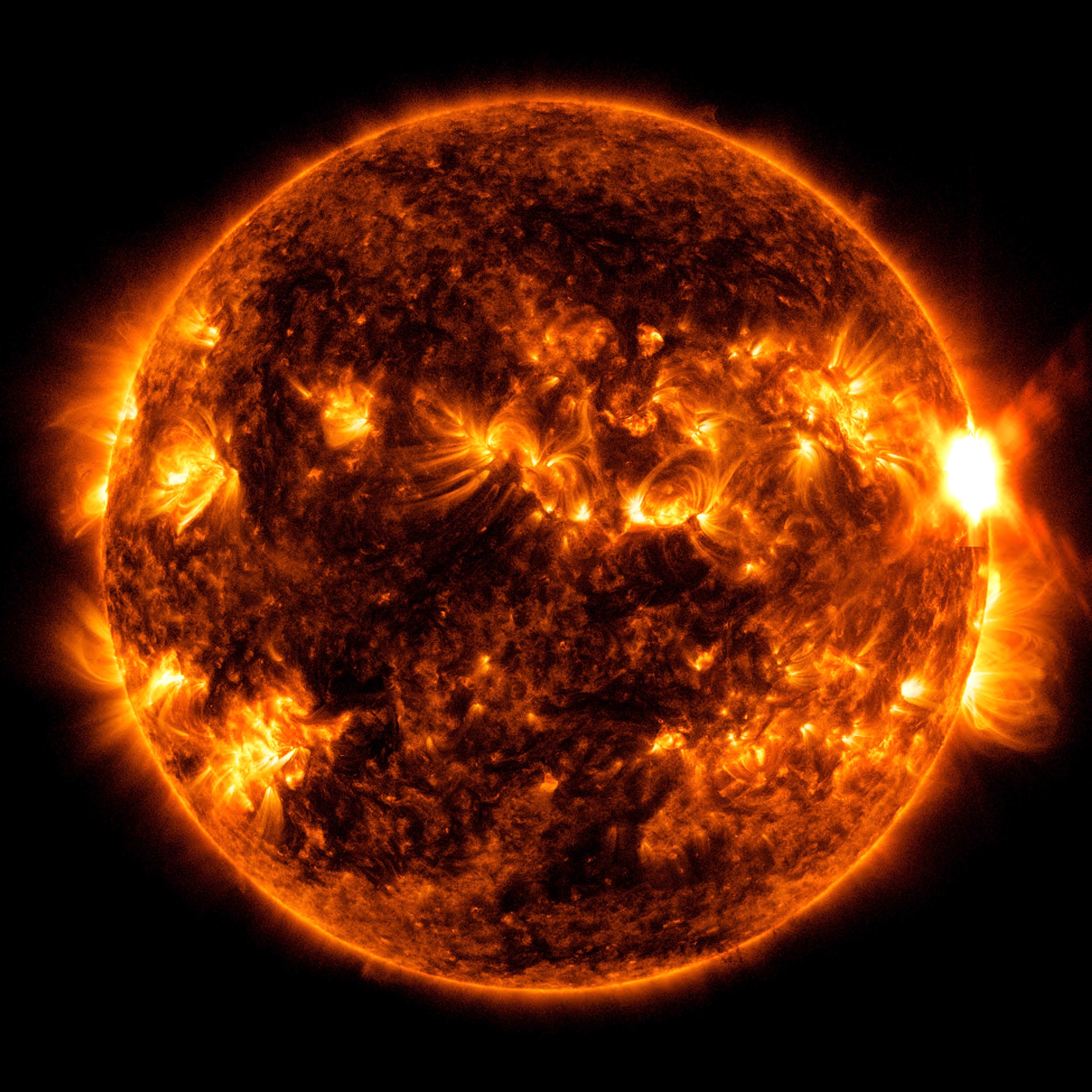 NASA Awards New Crop of Citizen Science Grants