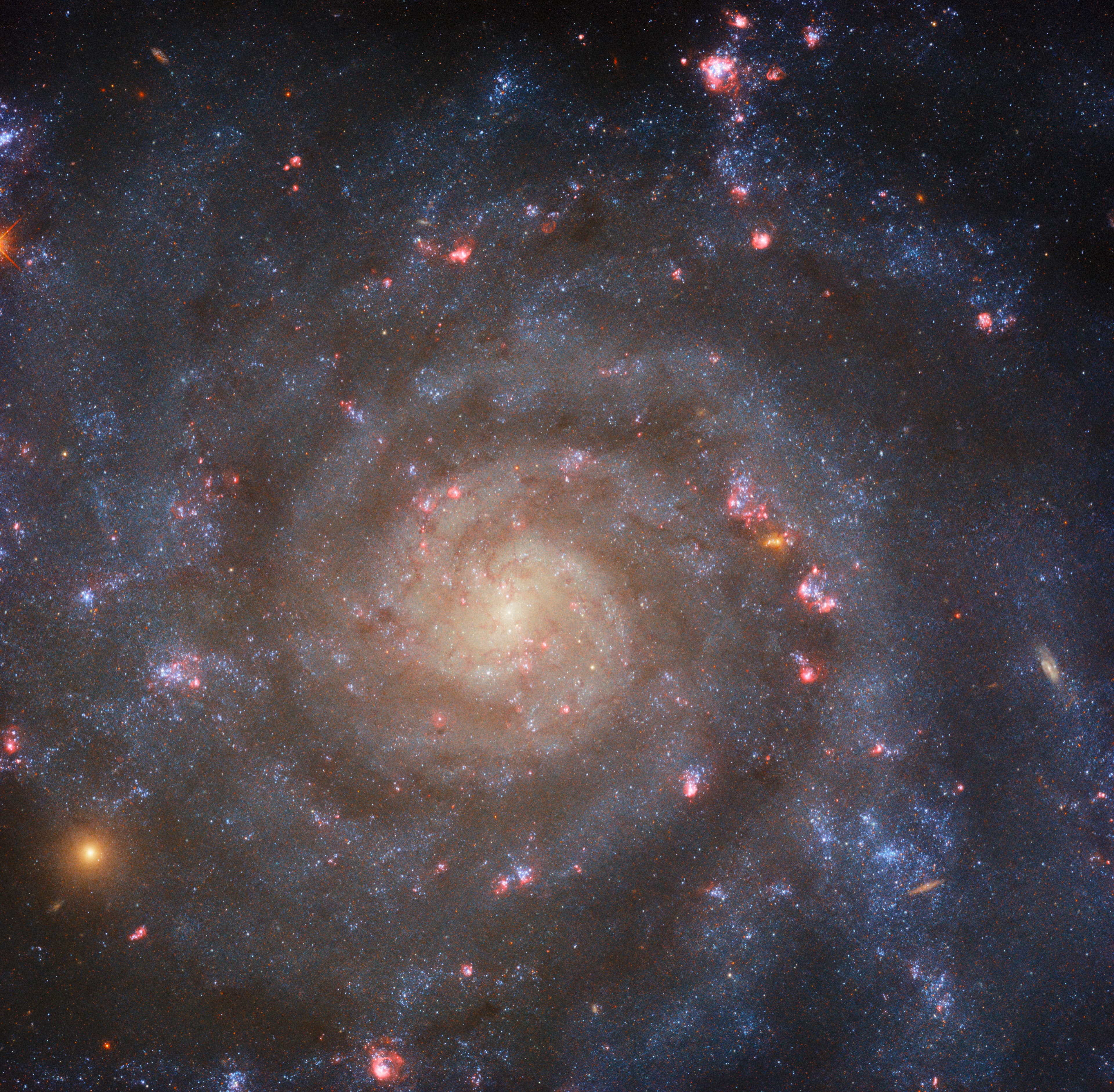 Hubble Captures a Galaxy Face-On