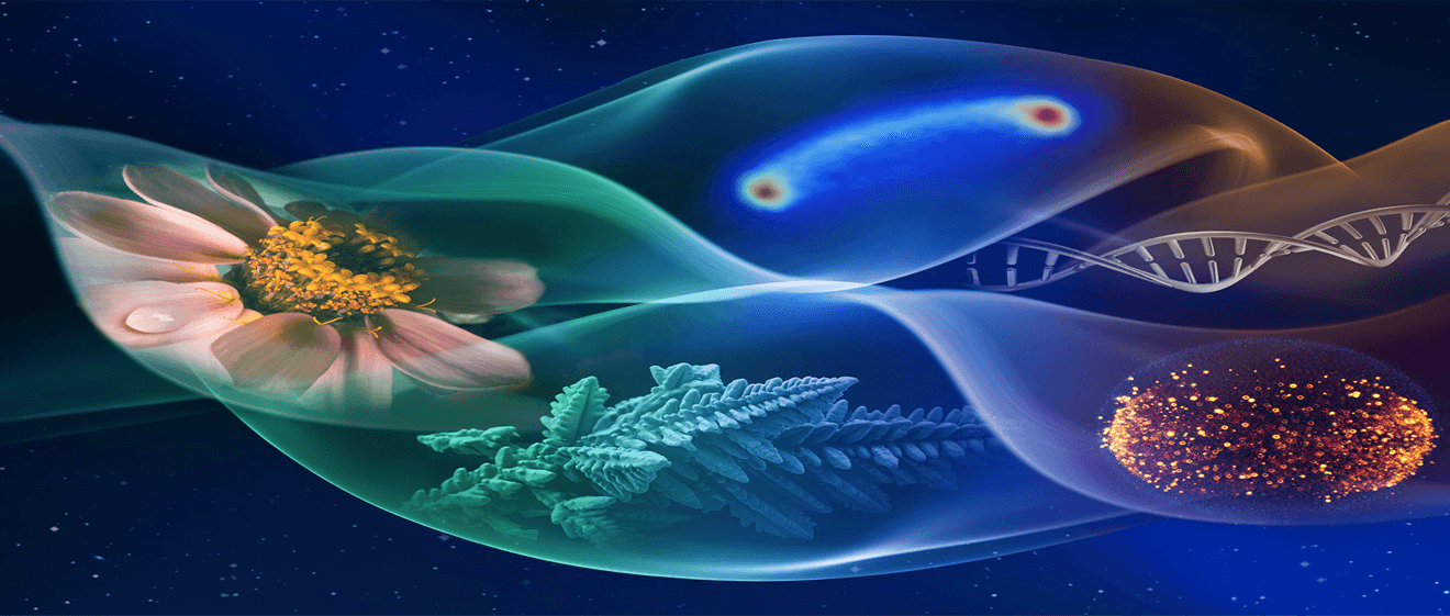 NASA Selects 11 Space Biology Research Projects to Inform Biological Research During Future Lunar Exploration Missions