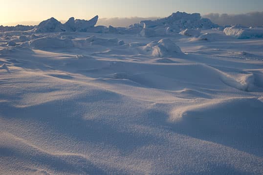 NASA data reveals declining Arctic snow depth