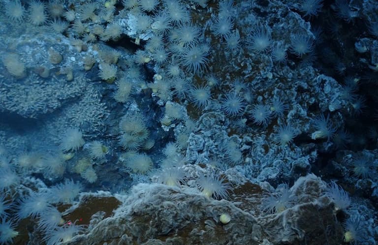 NASA study finds Earth’s ocean abyss has not warmed