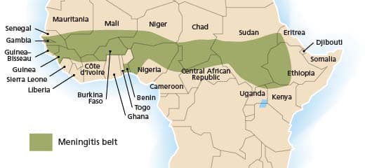 Climate conditions help forecast meningitis outbreaks