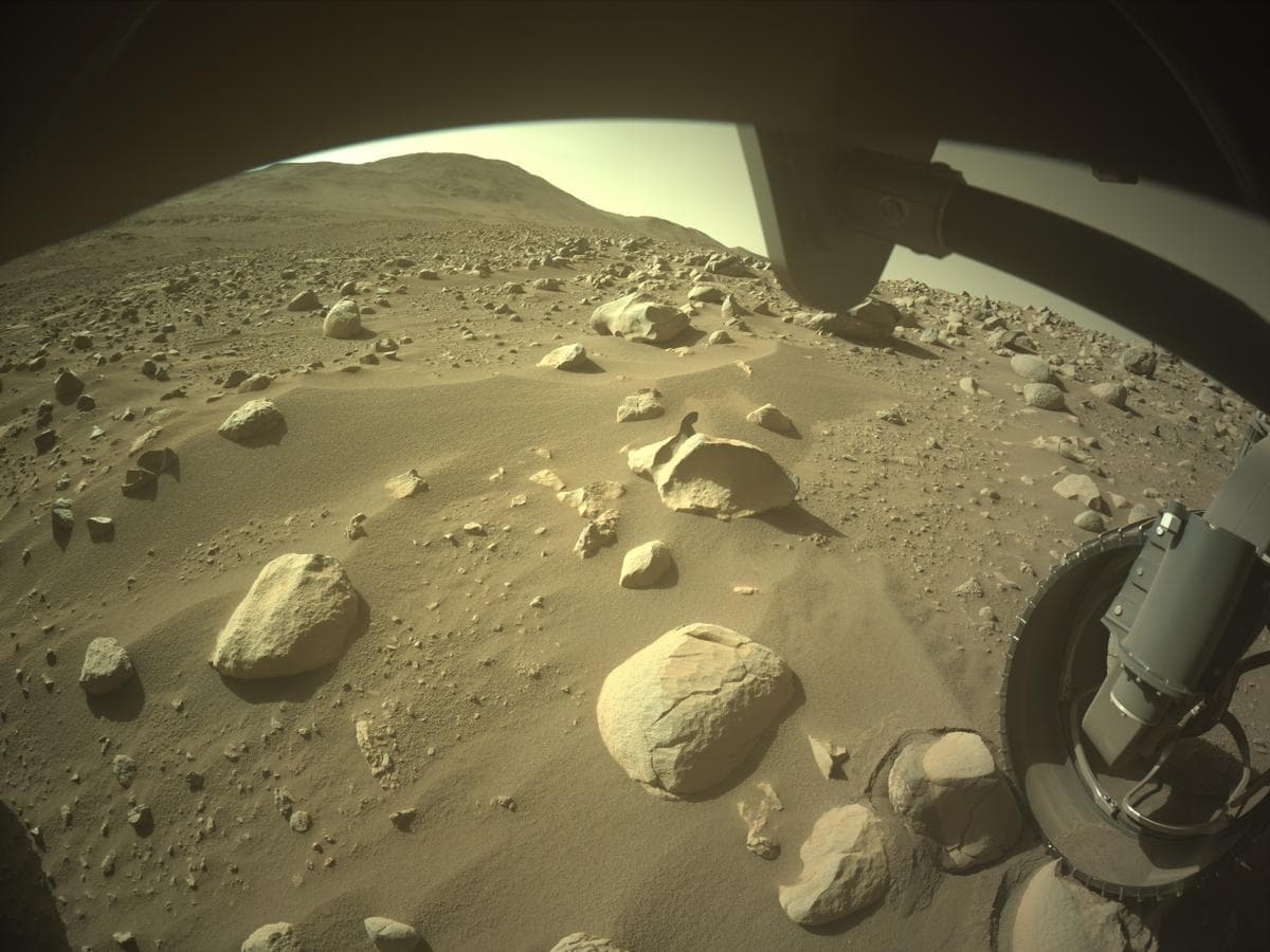 Was There Life on Mars?