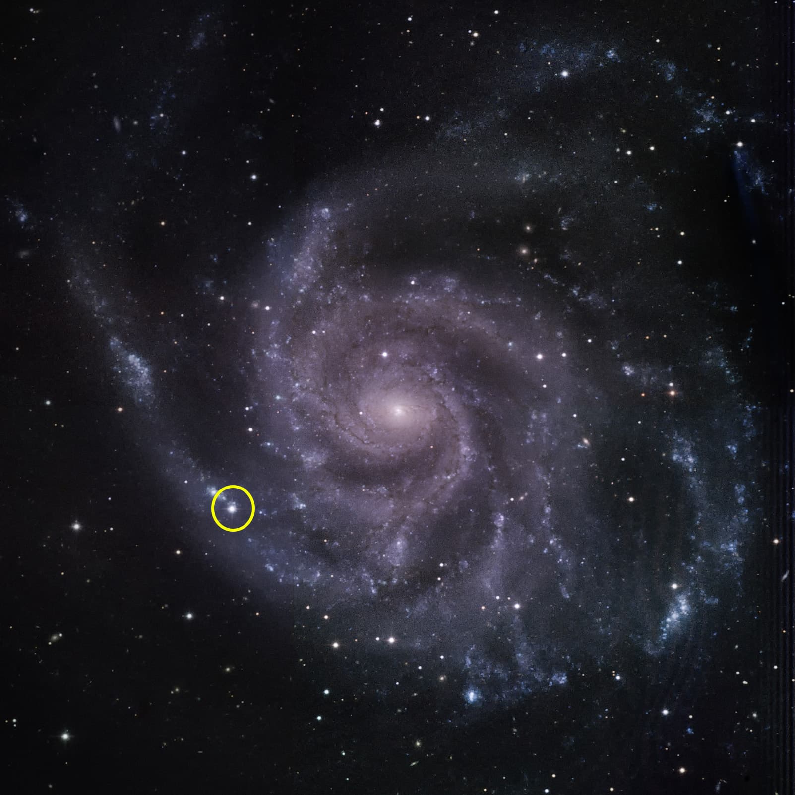 NASA’s Fermi Mission Sees No Gamma Rays from Nearby Supernova