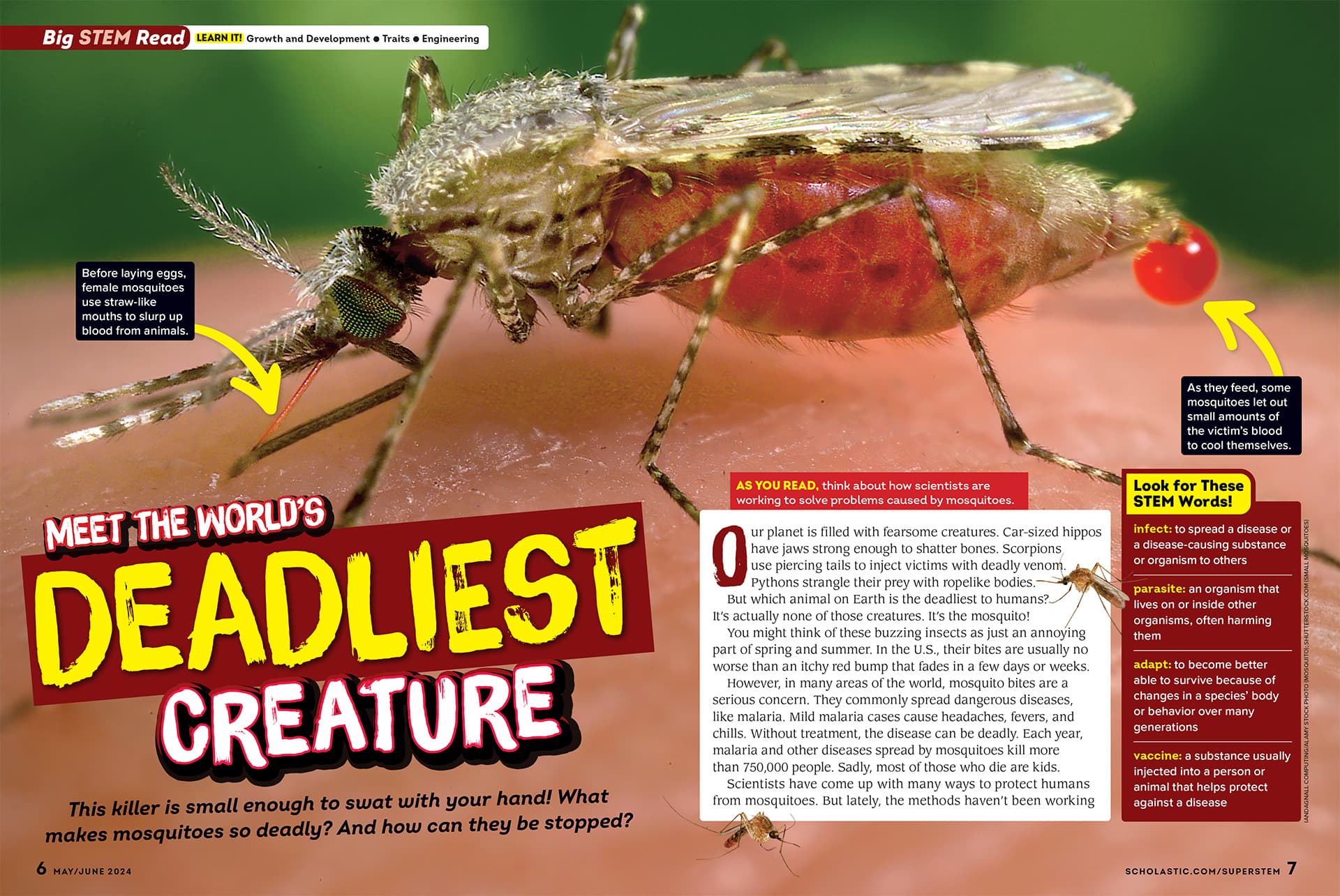 Scholastic SuperSTEM Magazine Features GLOBE Mosquito Habitat Mapper