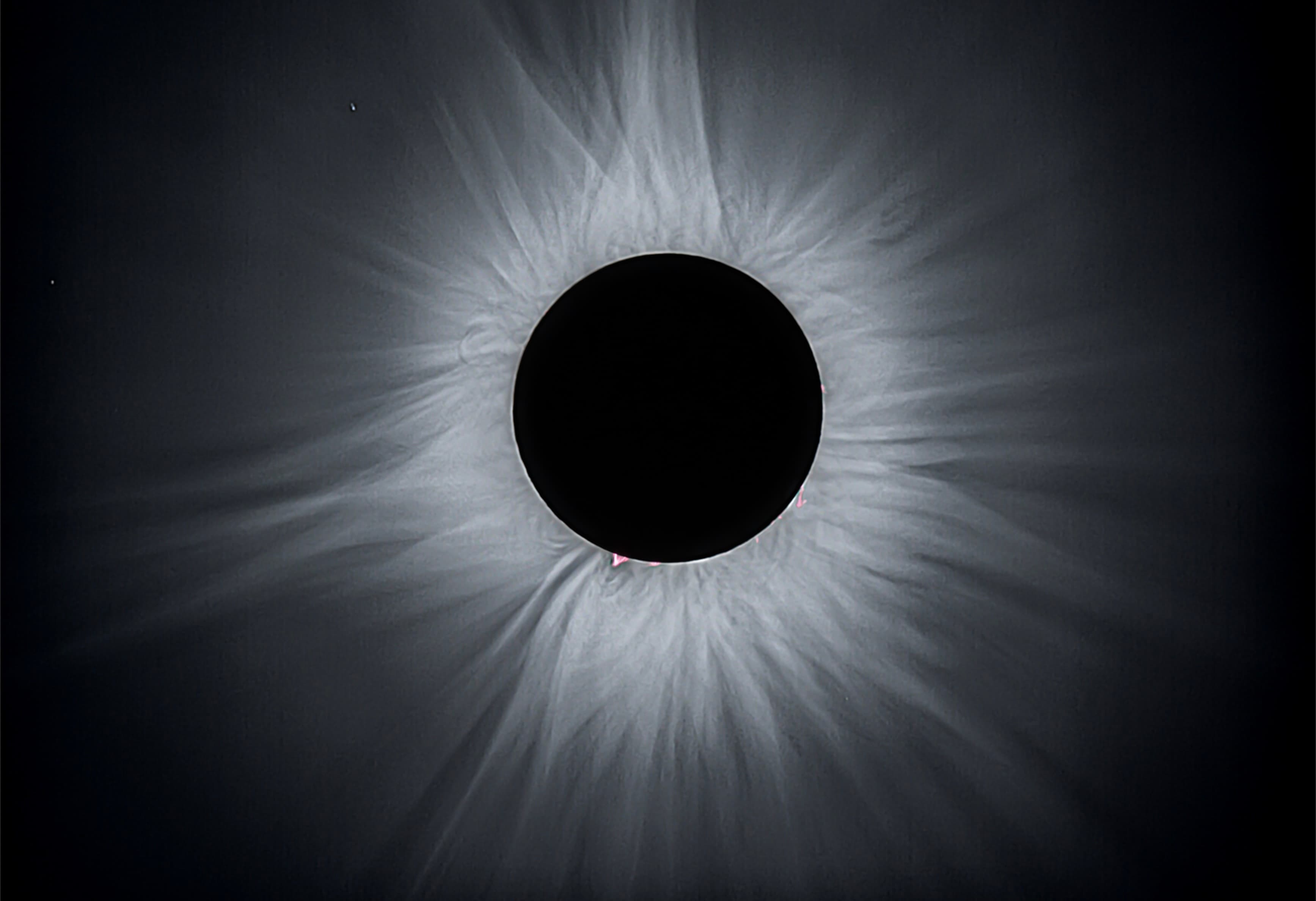 An Eclipse Megamovie Megastar