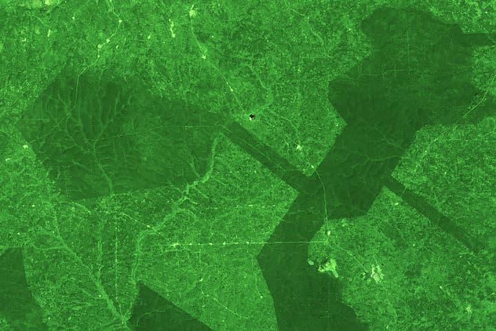 December 2024 Puzzler