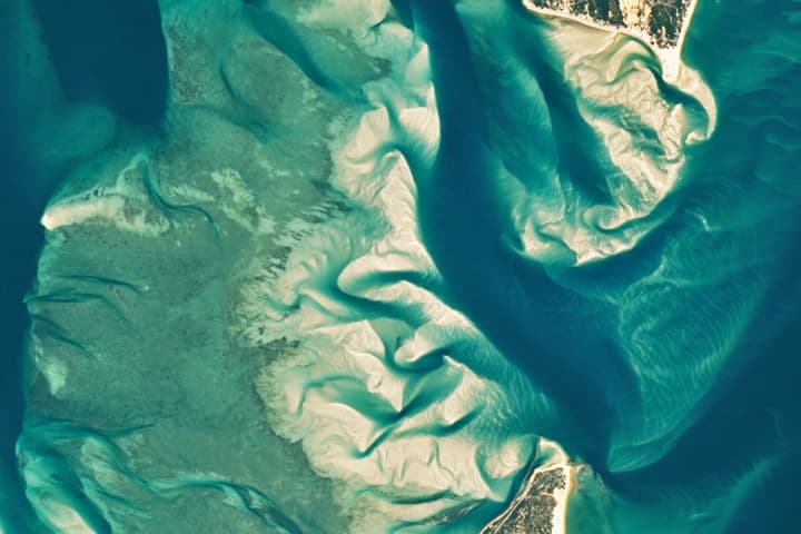 June 2025 Puzzler